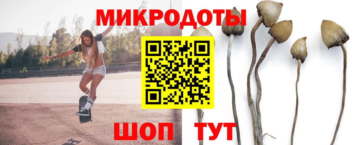 Симферополь  Псилоцибиновые грибы прущие грибы  Вход с VPN 